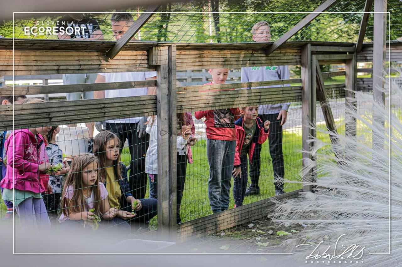 Slovenia Eco Resort Stahovica Exterior photo
