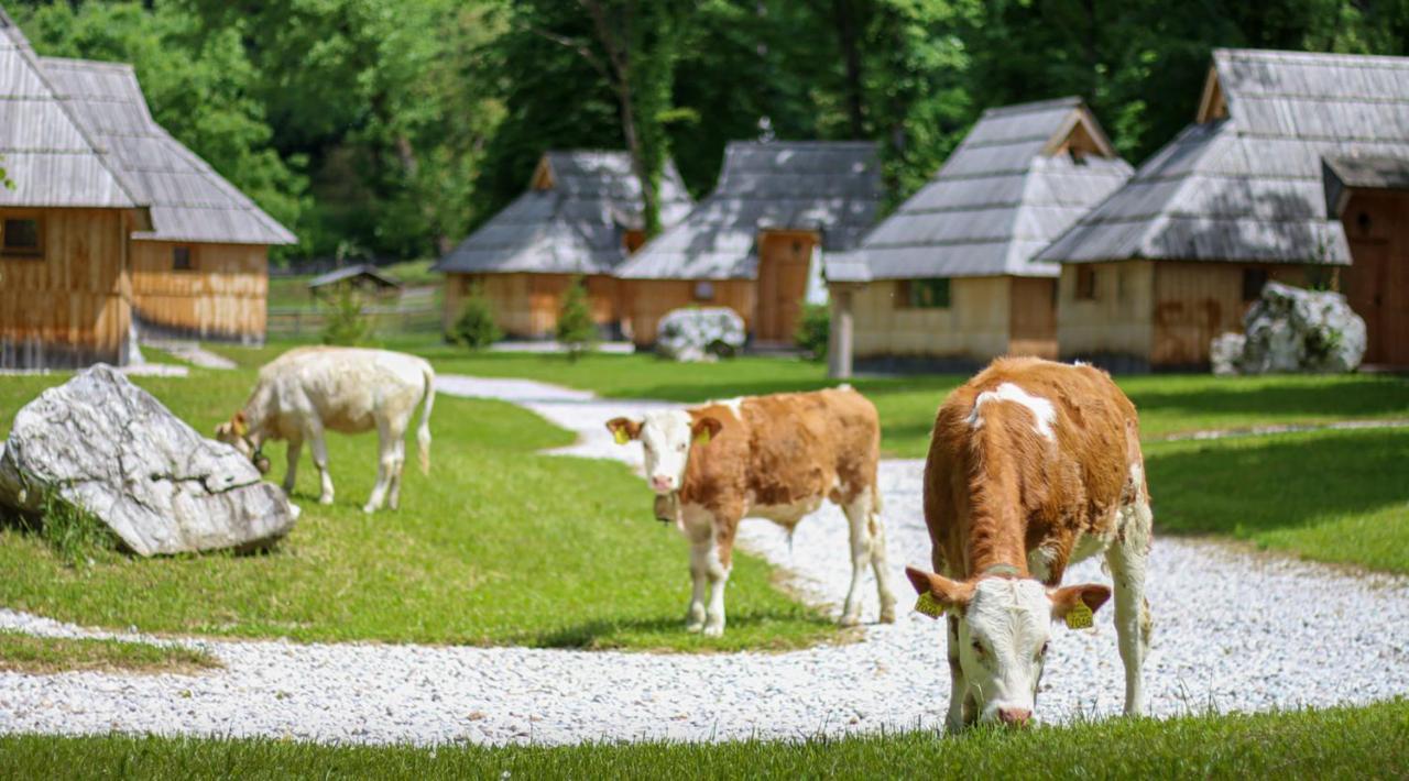 Slovenia Eco Resort Stahovica Exterior photo